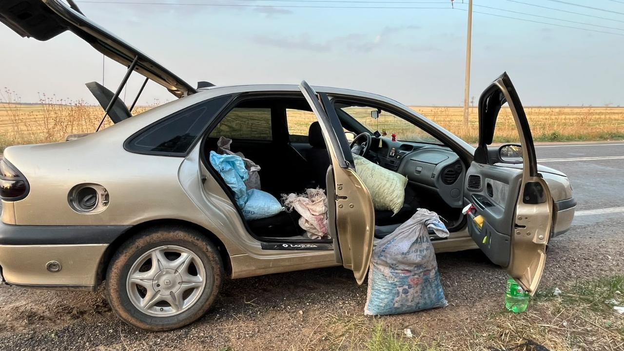 Şanlıurfa’da fıstık hırsızlığı suçüstü yakalandı: 4 gözaltı