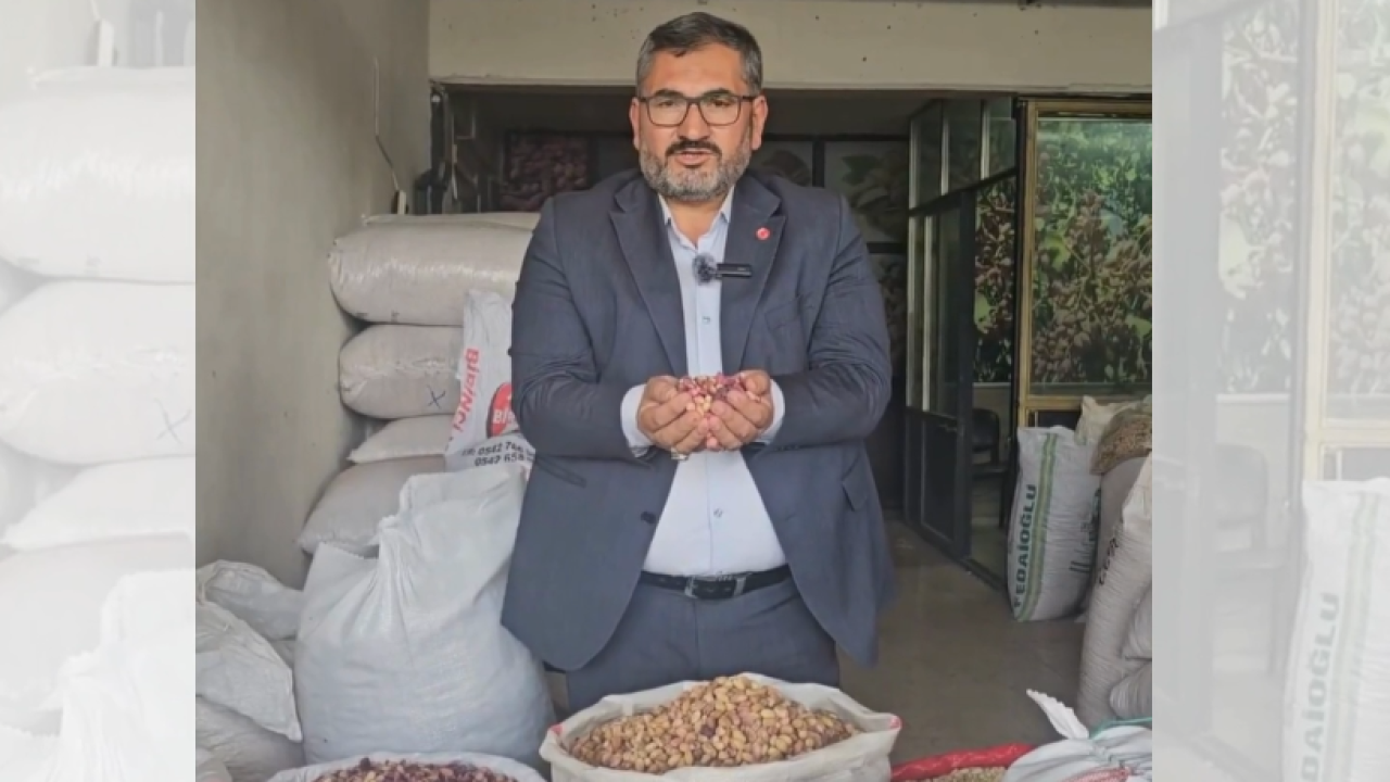 Şanlıurfa'da fıstık üreticisi dertli: “Ürünümüz elimizde kaldı”