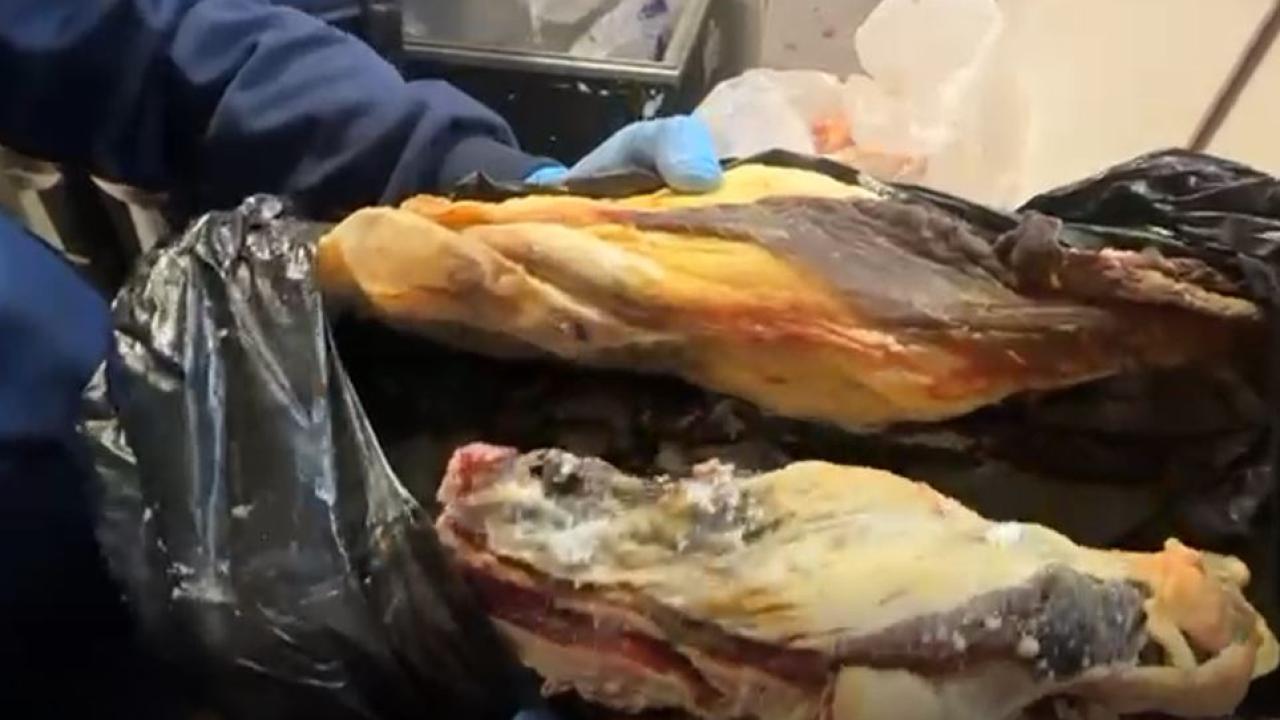 Şanlıurfa’da skandal görüntüler: 170 kilogram bozuk et ele geçirildi