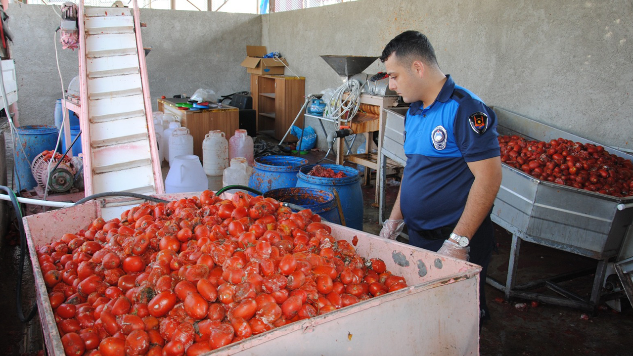 Urfa’da mide bulandıran görüntüler: Kilolarca ele geçirildi!