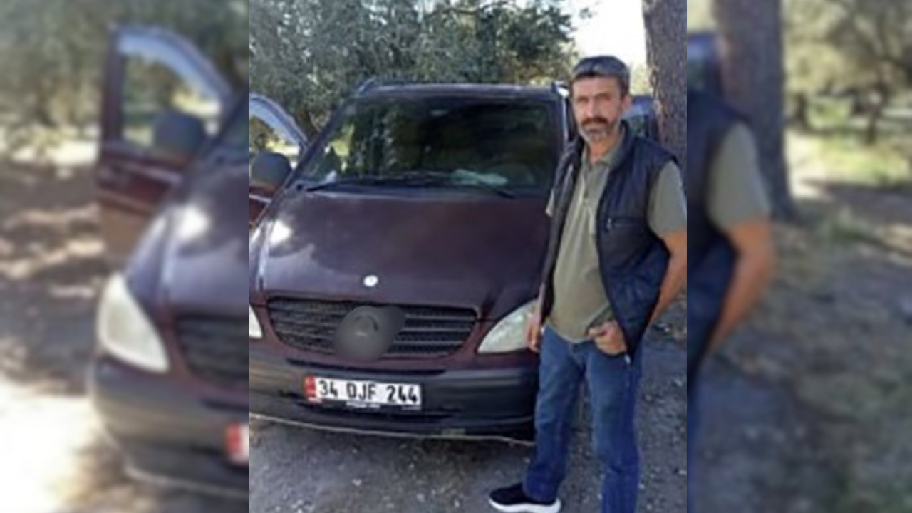 Zeytin toplarken arı soktu hayatını kaybetti