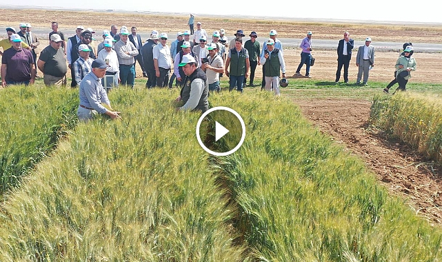 TİGEM'DEN BÖLGE ÇİFTÇİSİNİ UMUTLANDIRAN PROJE