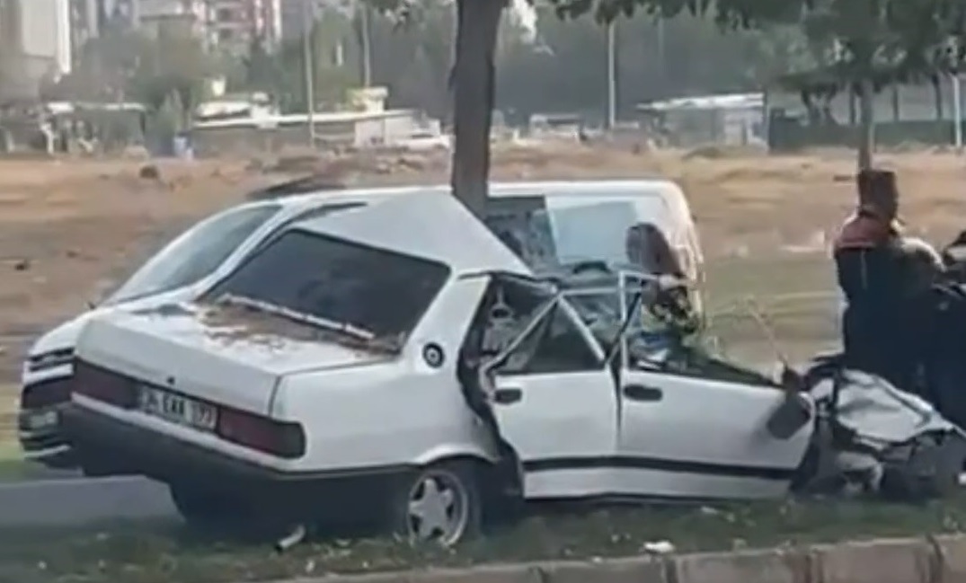 Şanlıurfa'da otomobil ağaca ok gibi saplandı