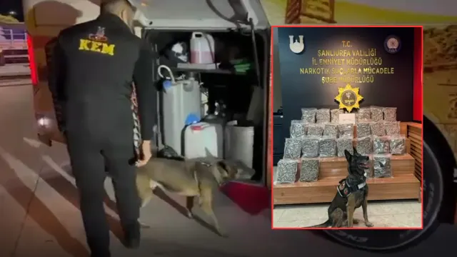 Şanlıurfa’da yolcu otobüsünde kilolarca uyuşturucu madde ele geçirildi