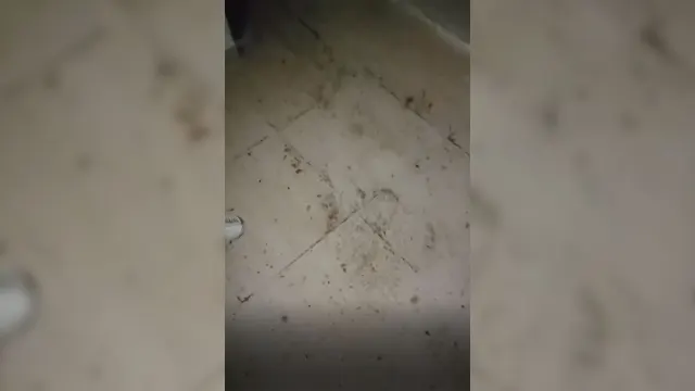 Urfa’da sağanak sonrası bir evi su bastı: O anlar kamerada!