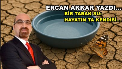 BİR TABAK SU: HAYATIN TA KENDİSİ…