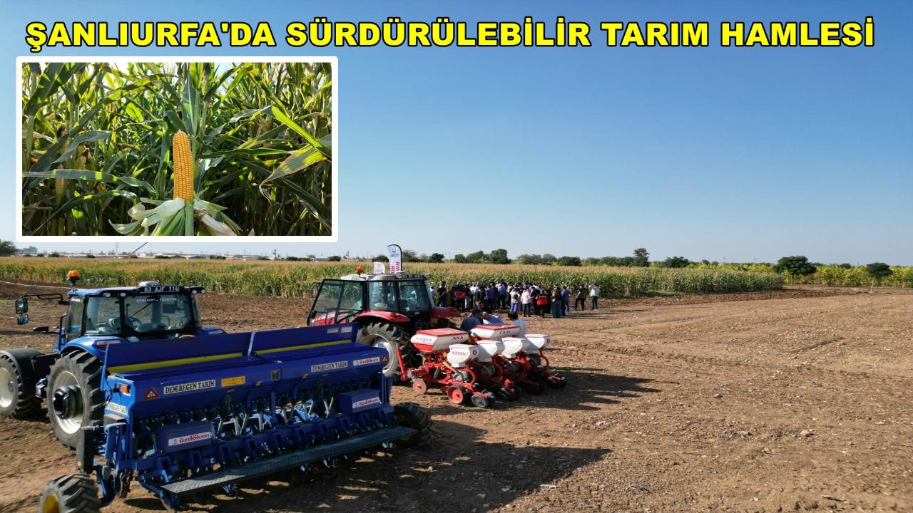 Otomatik Taslak