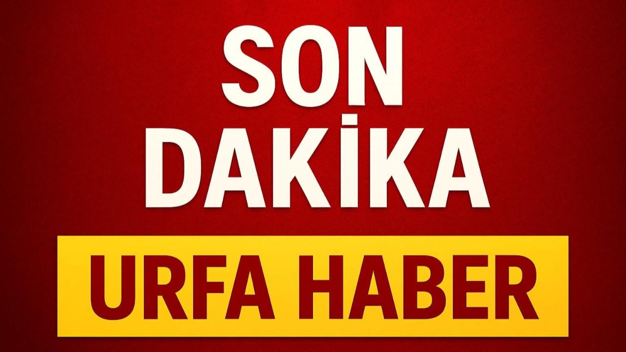Otomatik Taslak