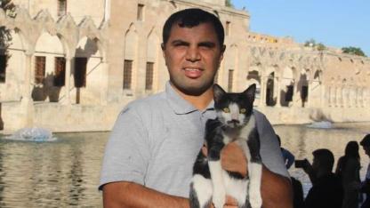 Şanlıurfa 'da  Kalp Masajıyla Bir  Kedi Hayata Döndü