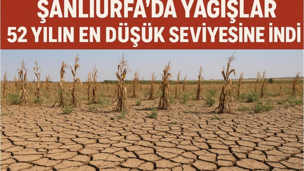 Şanlıurfa’da Yağışlar 52 Yılın En Düşük Seviyesine İndi
