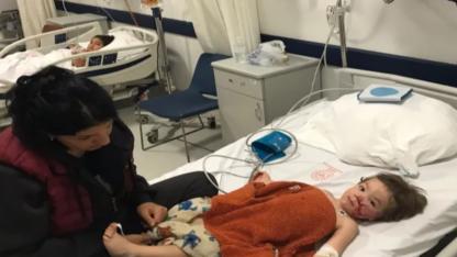 Ankara'da Pitbull Saldırısı: İki Kardeş Yaralandı