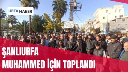 Bozova Susmadı: “Uyuma Bozova, Muhammed’e Sahip Çık!”