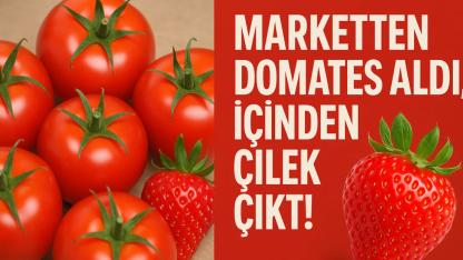 Marketten Domates Aldı, İçinden Çilek Çıktı!