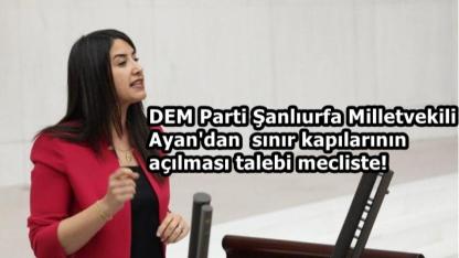 Dilan Kunt Ayan’dan TBMM’ye Sınır Kapıları Araştırması Talebi