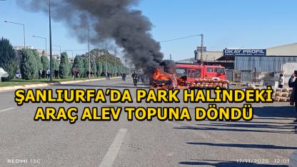Şanlıurfa’da Park Halindeki Araç Alev Topuna Döndü