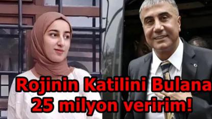 Sedat Peker:"Rojin Cinayetini Aydınlatana 25 Milyon Veririm"