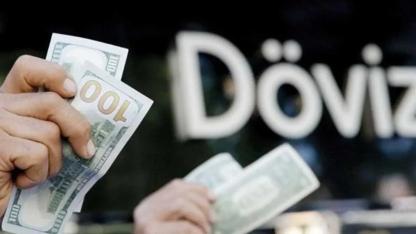 Serbest Piyasada Döviz Satışları