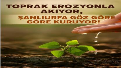 Toprak Erozyonla Akıyor, Şanlıurfa Göz Göre Göre Kuruyor!