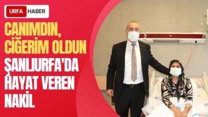 "Canımdın, Ciğerim Oldun": Şanlıurfa'da Hayat Veren Nakil
