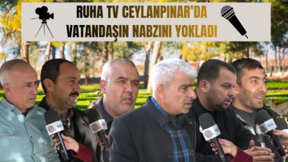 Ruha TV Ceylanpınar’da Vatandaşın Nabzını Yokladı