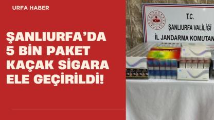 Şanlıurfa’da 5 Bin Paket Kaçak Sigara Ele Geçirildi!