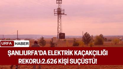 Şanlıurfa’da Elektrik Kaçakçılığı Rekoru:2.626 Kişi Suçüstü!