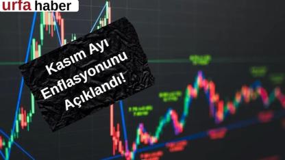 Son Dakika...TÜİK Kasım Ayı Enflasyonunu Açıkladı!
