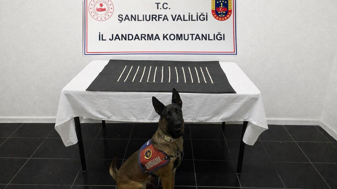 Jandarmadan zehir tacirlerine operasyon!
