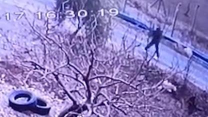 Şanlıurfa Birecik’te Köpeği Tüfekle Vurdu