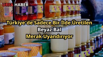 Türkiye’de Sadece Bir İlde Üretilen Beyaz Bal Merak Uyandırıyor