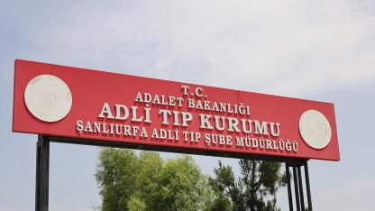 Urfa'da mesire alanında korkutan olay!