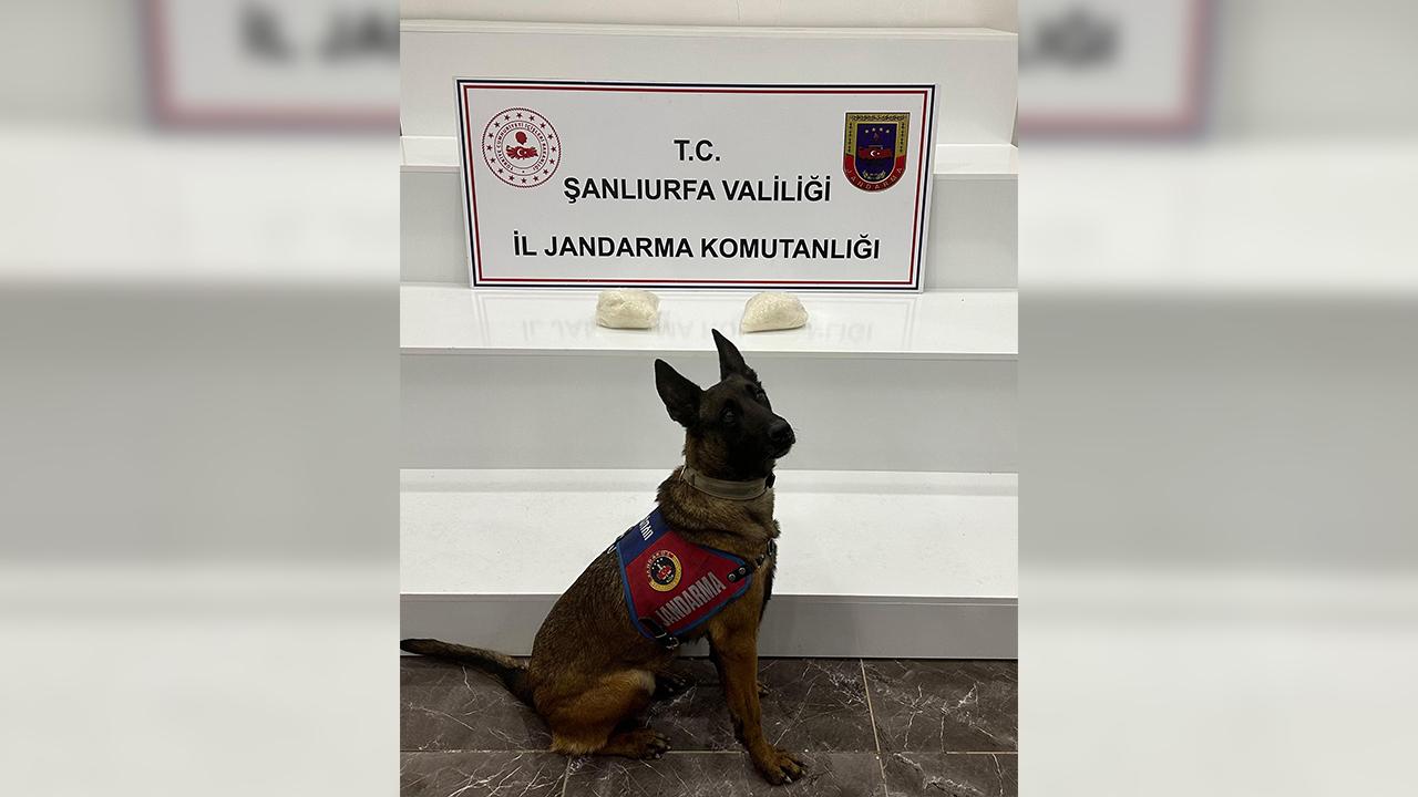 Urfa'da zehir tacirlerine operasyon!