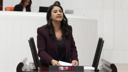Milletvekili Ayan: Urfa’da karar mekanizmalarında kadın yok!