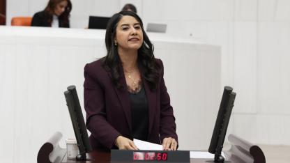 Urfa vekili Ayan sağlıkta şiddeti meclis gündemine taşıdı!