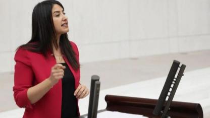 Urfa Vekili Ayan kadına yönelik şiddeti Meclis'e taşıdı!