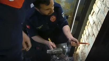 Urfa'da duvara sıkışan kedi kurtarıldı!