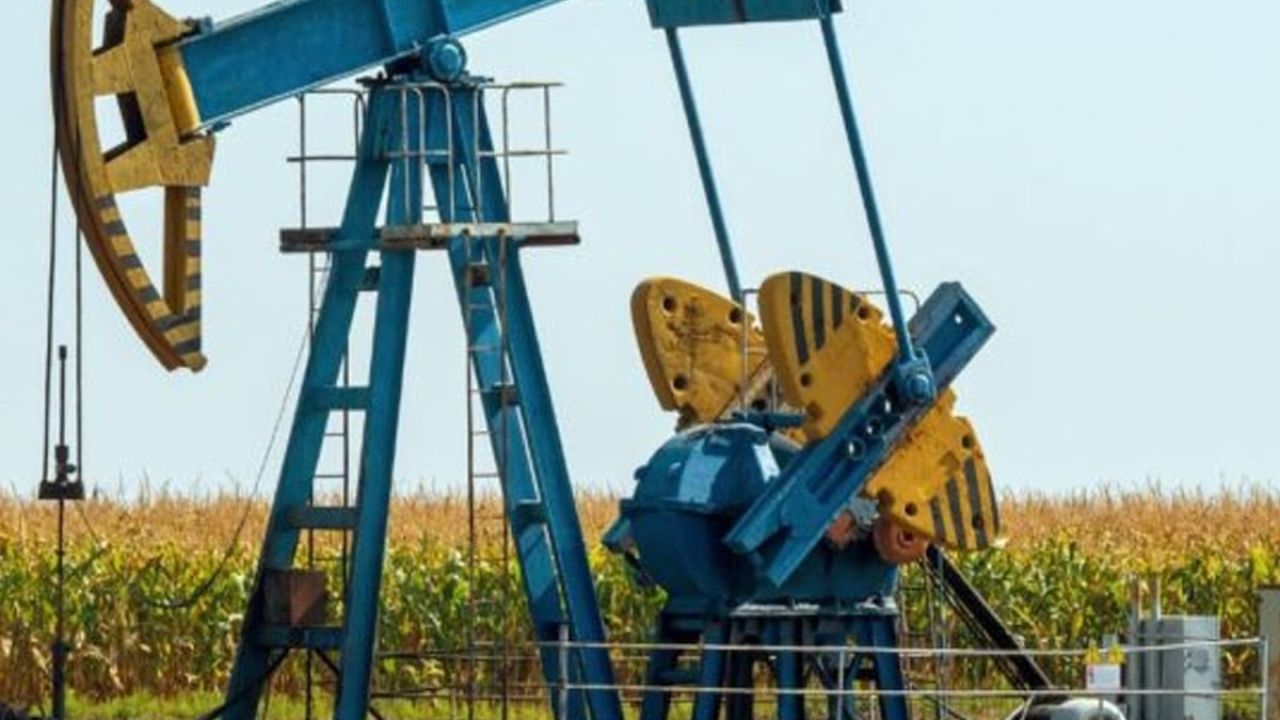 Herkesin 'bitti' diye terk ettiği kuyudan servet çıktı: 'Çok para kazanıyoruz'