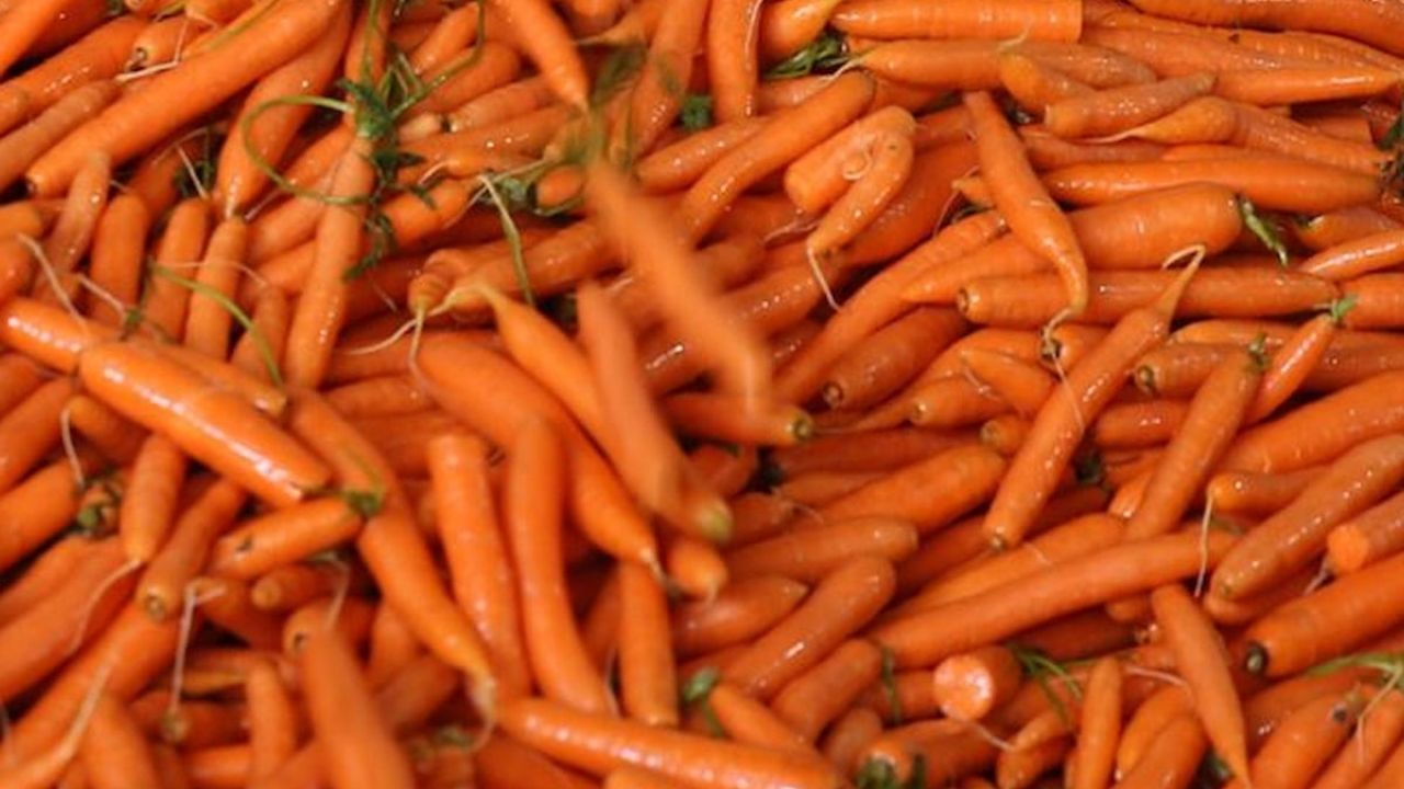 Marketlerde satılan havuçlar geri çağrılıyor: Tüketmeyin çağrısı yapıldı