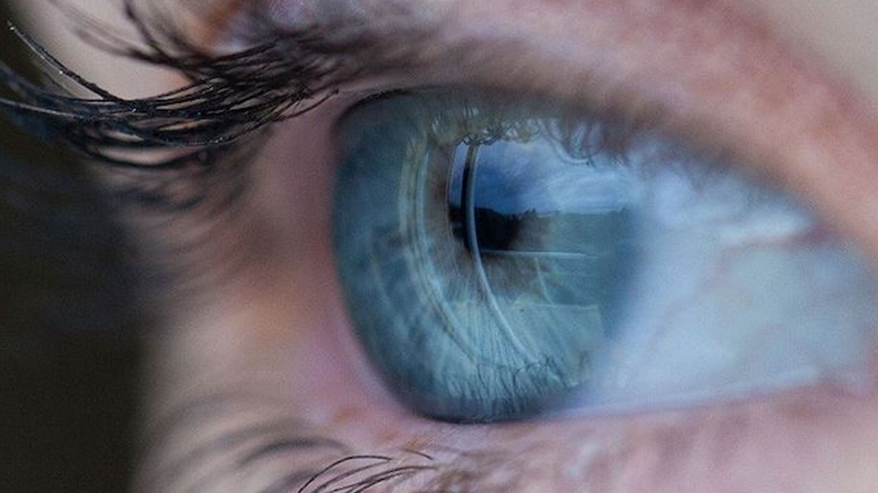 Mavi gözlü tüm insanların atası aynı: Araştırmada Türkiye de var