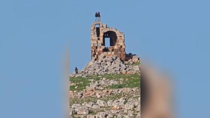 Urfa'da tarihi yapıda tepki çeken halay!