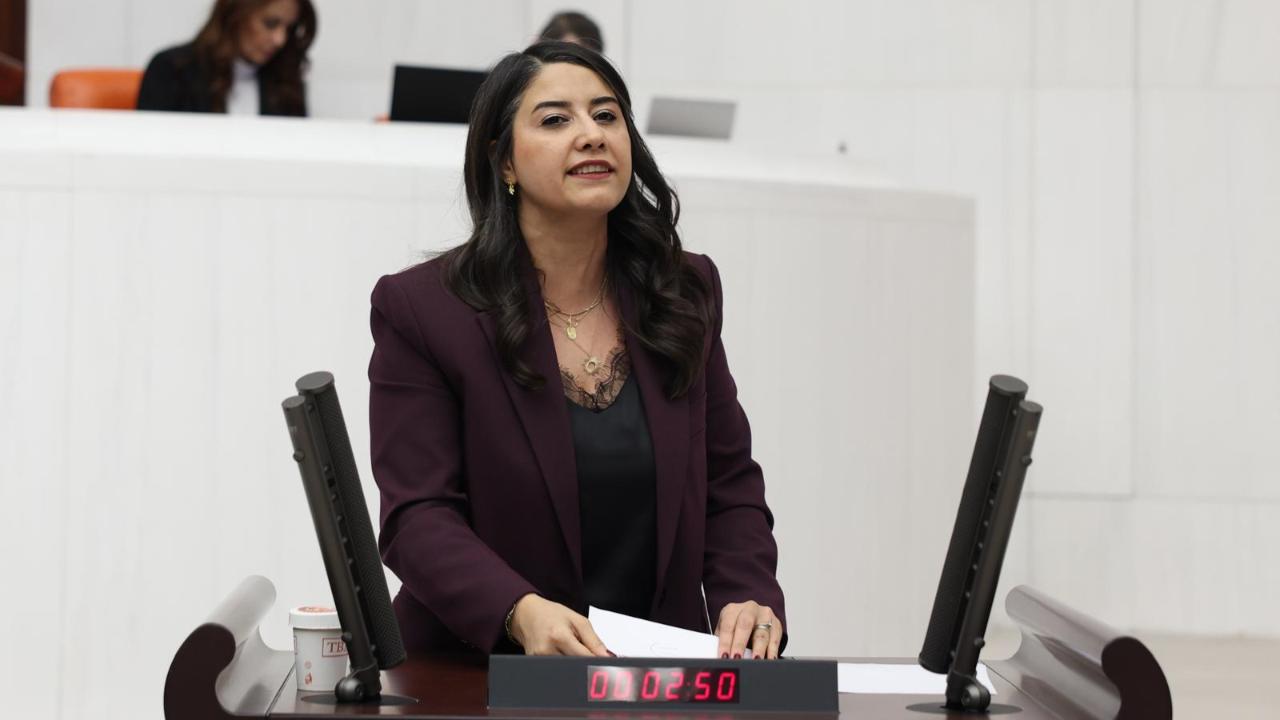 DEM Parti Milletvekili Ayan’dan Şanlıurfa için "Afet Bölgesi" talebi!