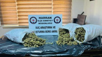 Harran'da operasyon: kilolarca uyuşturucu ele geçirildi!