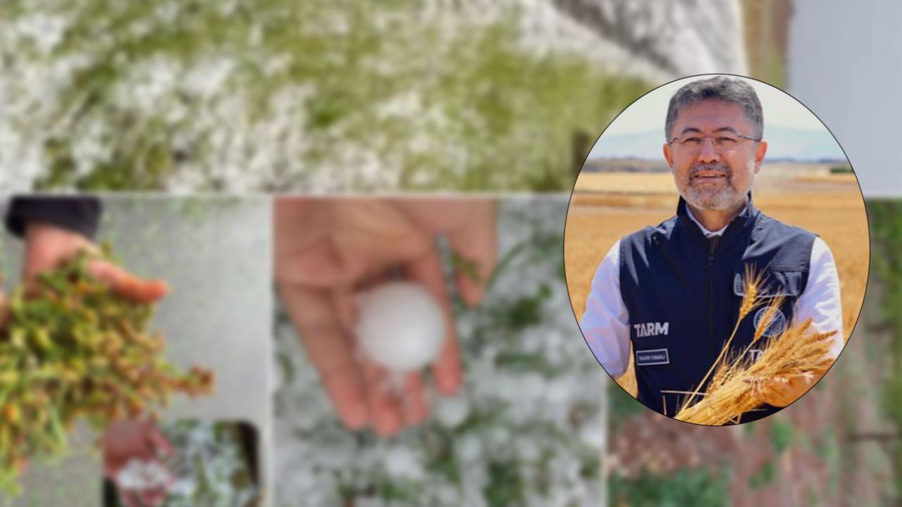 Şanlıurfa'da çiftçinin beklediği haberi bakan duyurdu!