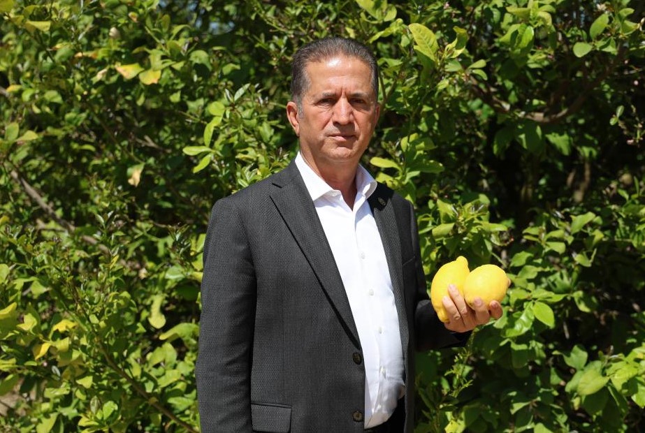 Limon İhracat Kısıtlaması Çiftçileri Zorluyor