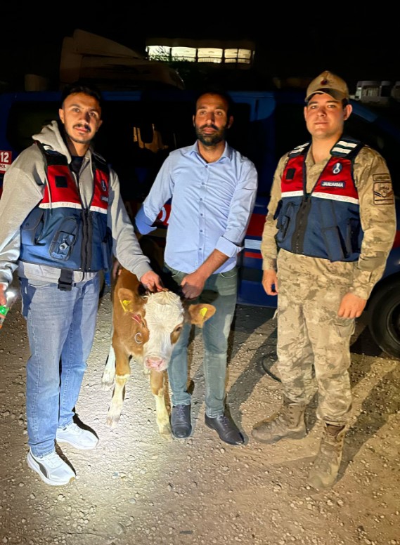 Hayvan Hırsızına Şafak Operasyonu!