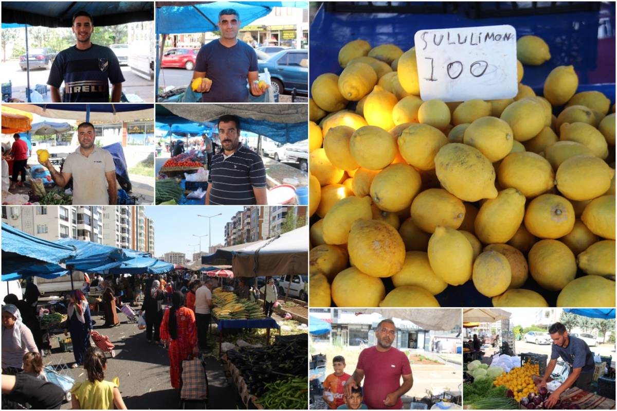Limon Fiyatları Cep Yakıyor!