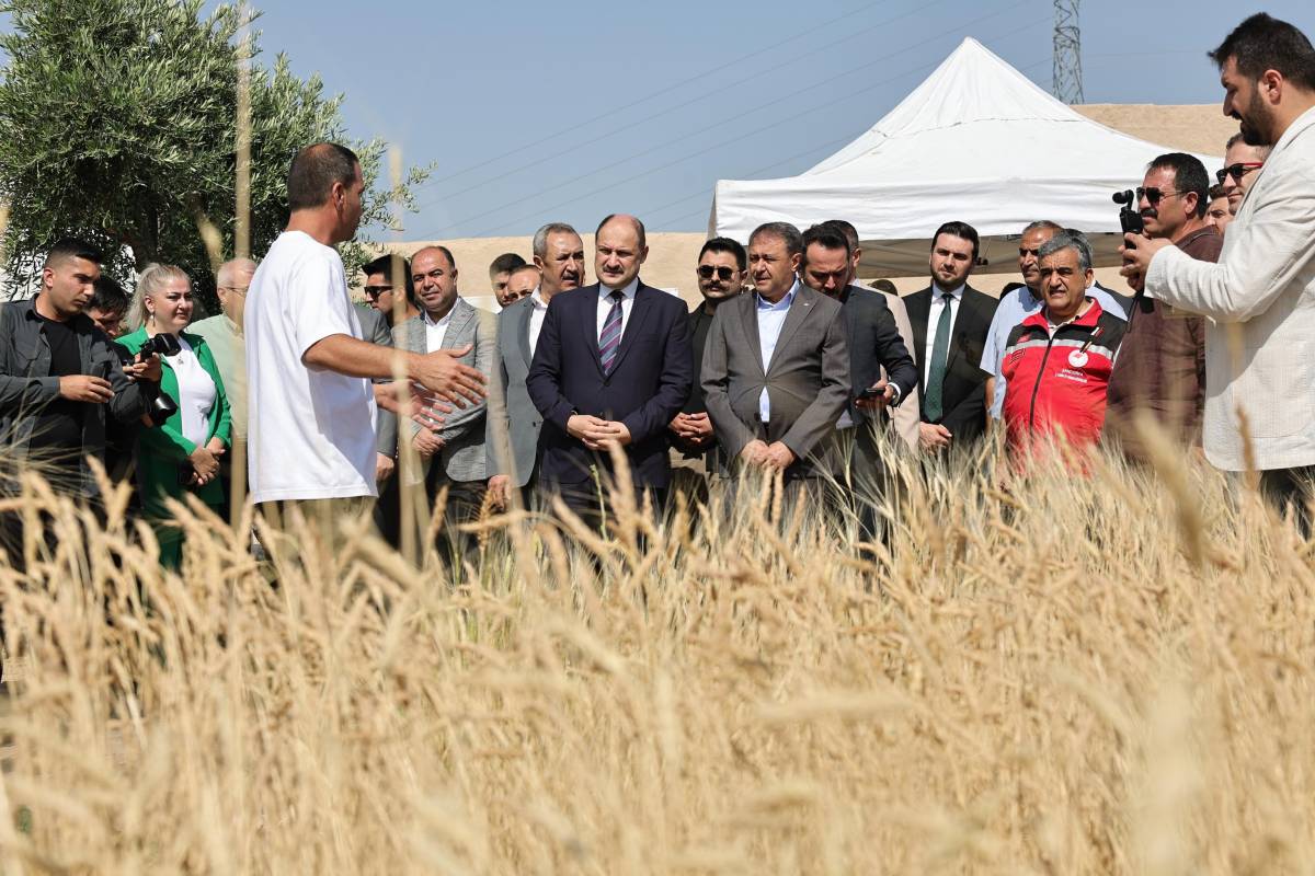 Şanlıurfa Altın Başakla Şenlendi: Hasat Festivali Coşkusu !