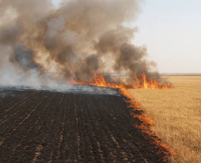 Şanlıurfa’da 170 Dönüm Tarla Kül Oldu!