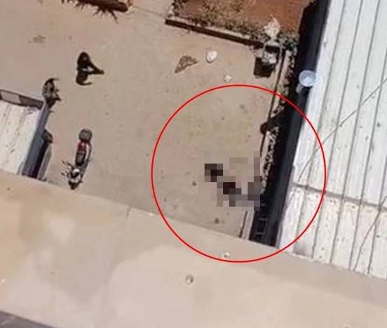 11. Kattan Düşen Reklam Yıldızı Hayatını Kaybetti!