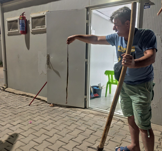 Konteynerde Yılan Alarmı! Panik Anları Kamerada